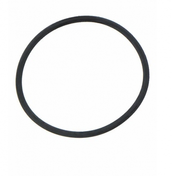 Кольцо уплотнительное D54хd49хh2.5 N000-025-880 для НС-М1-400-Ч, НС-М1-650-Ч